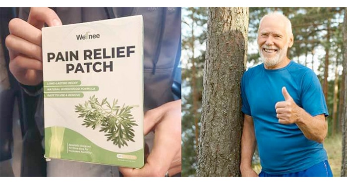 wellnee pain relief patch